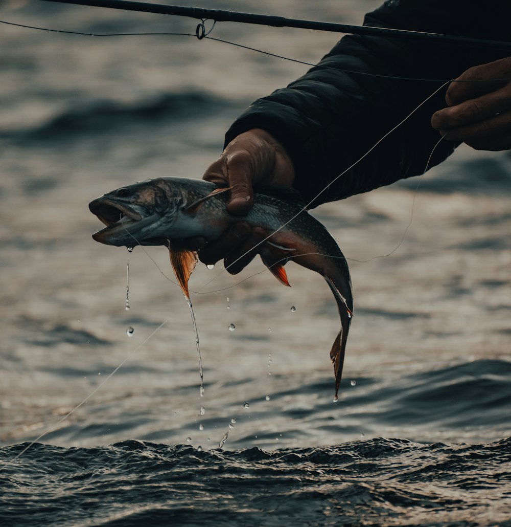 person holding a fish during daytime