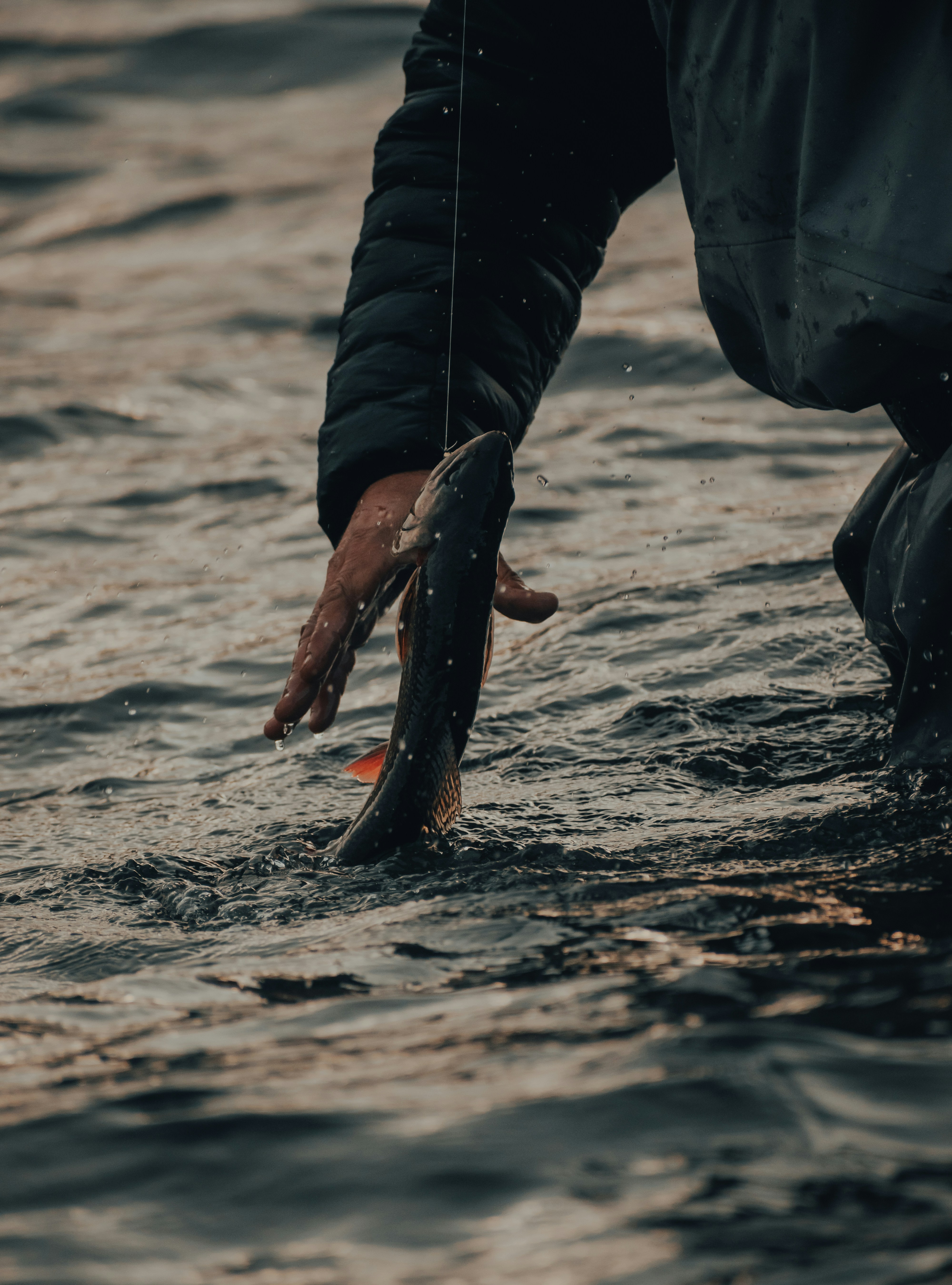 Orang dengan sepatu bot kulit hitam memegang ikan hitam di atas air pada siang hari
