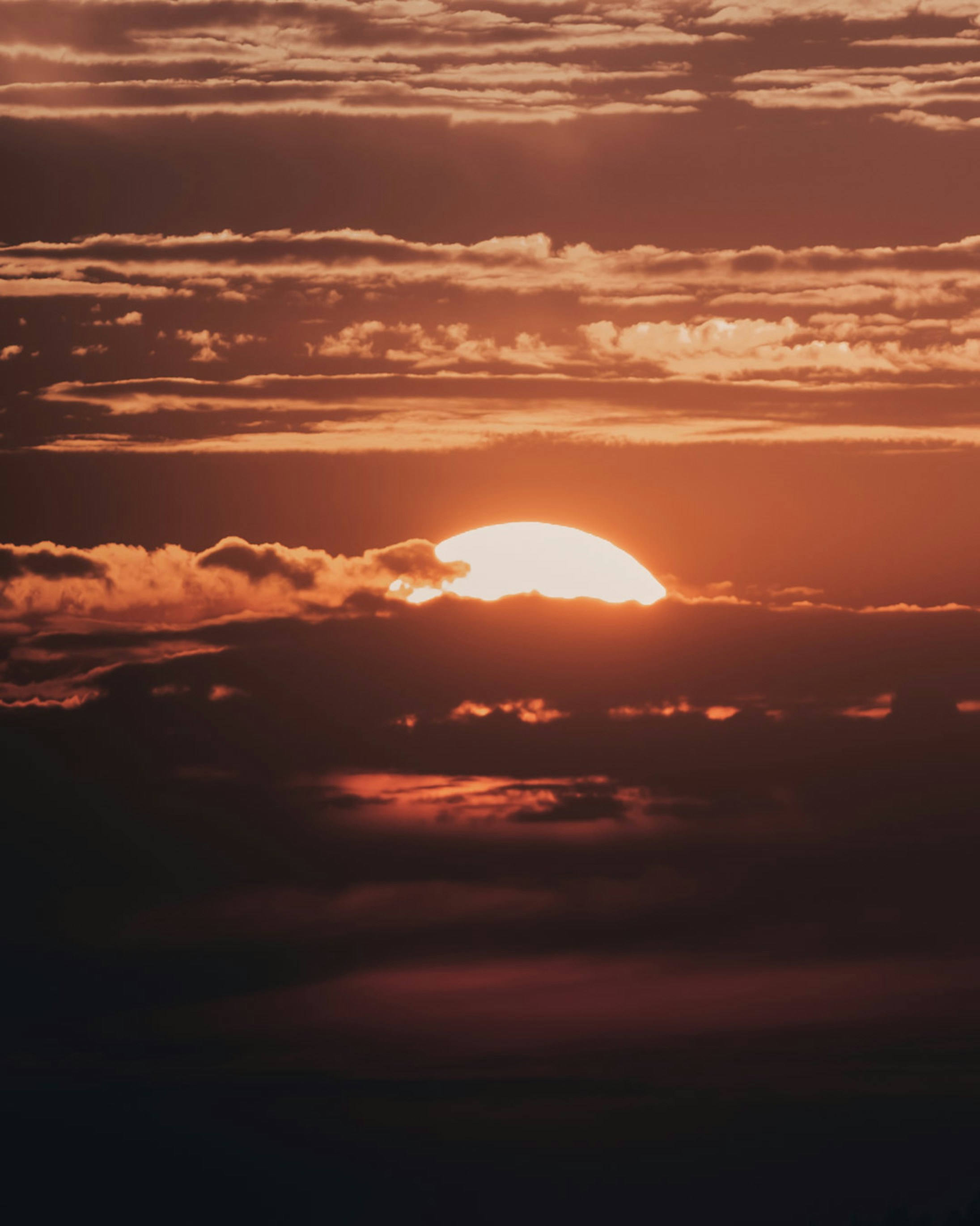 Photo by lazrodriguez__