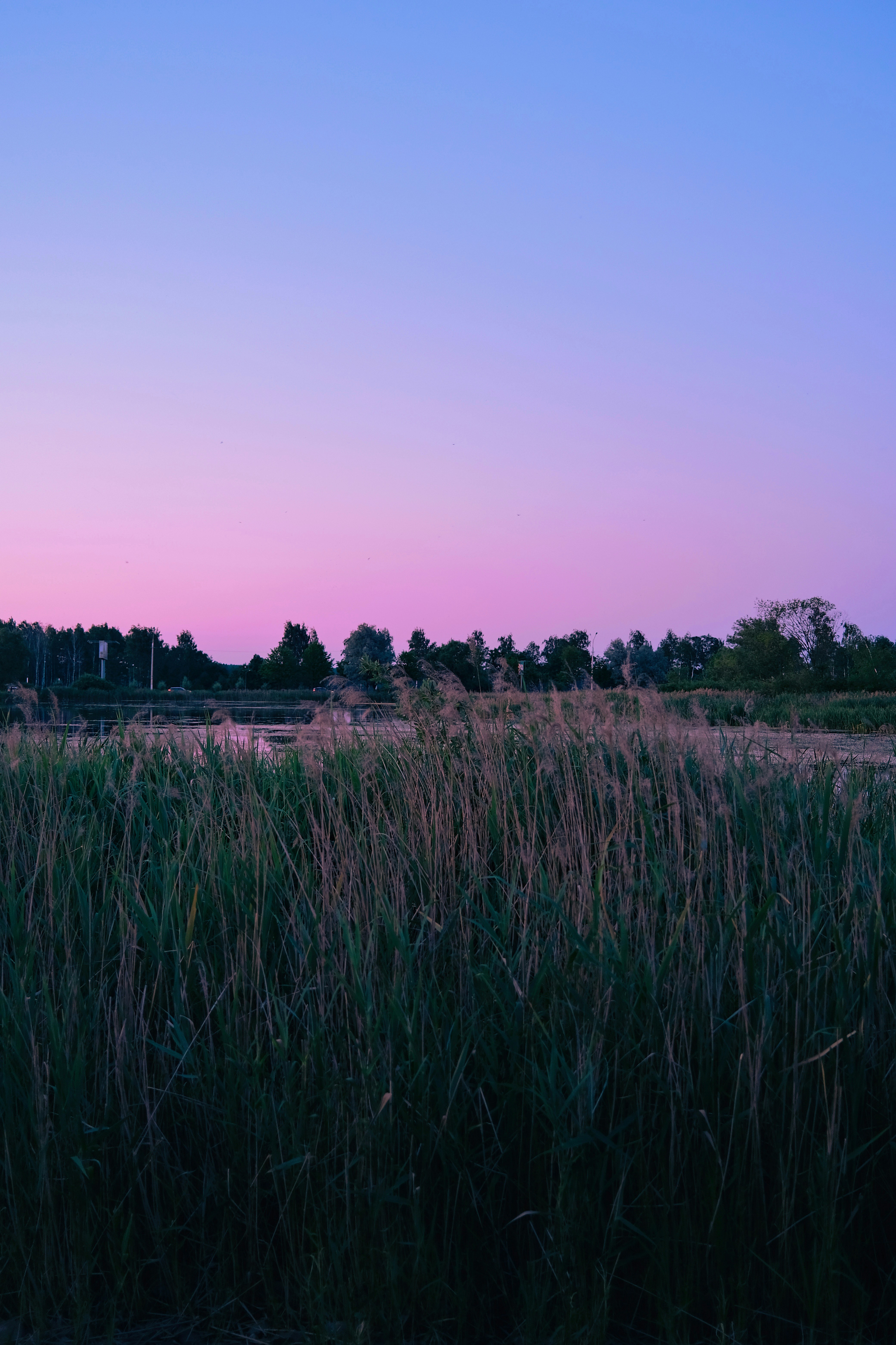 Photo by cherenkevich