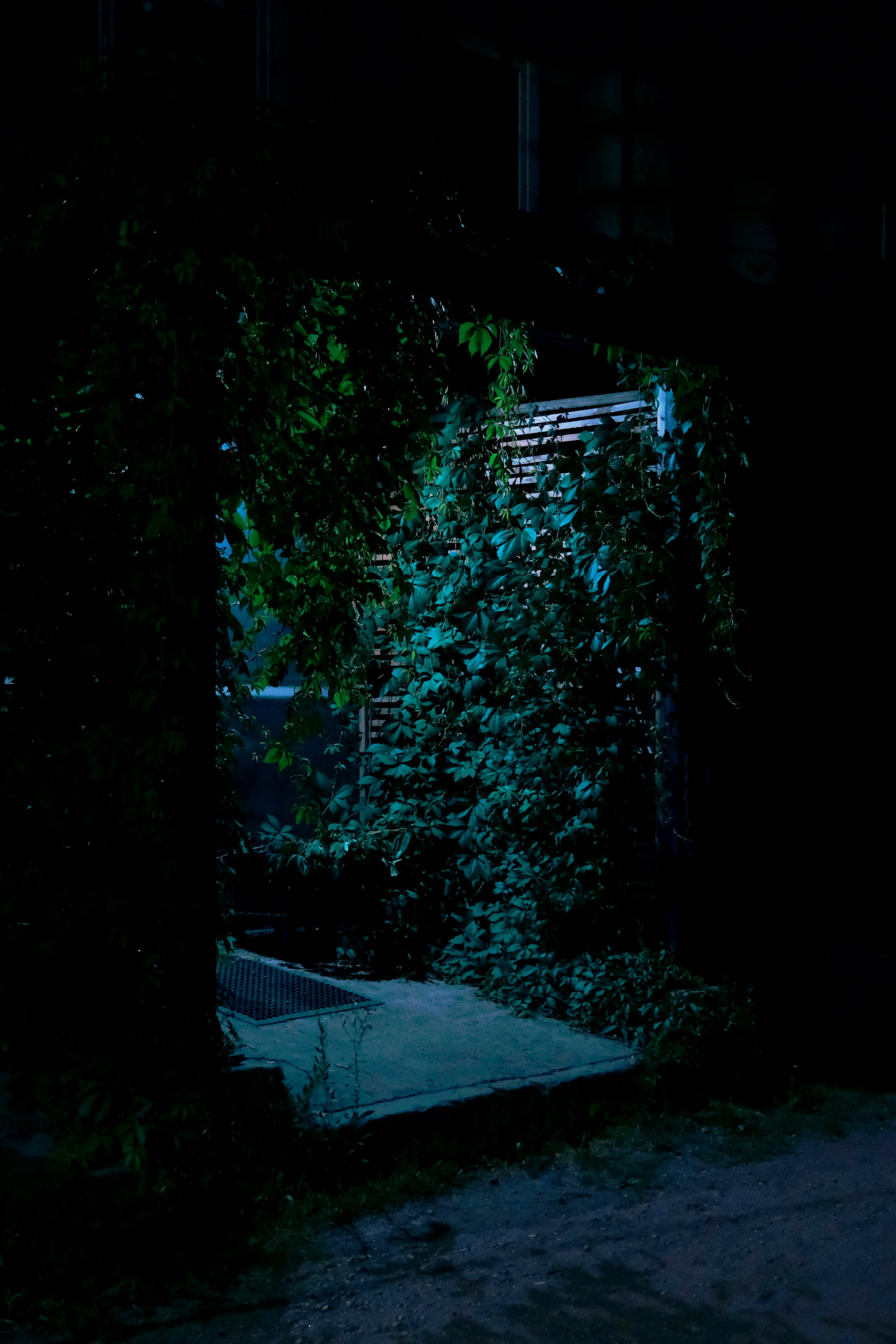 Photo by cherenkevich