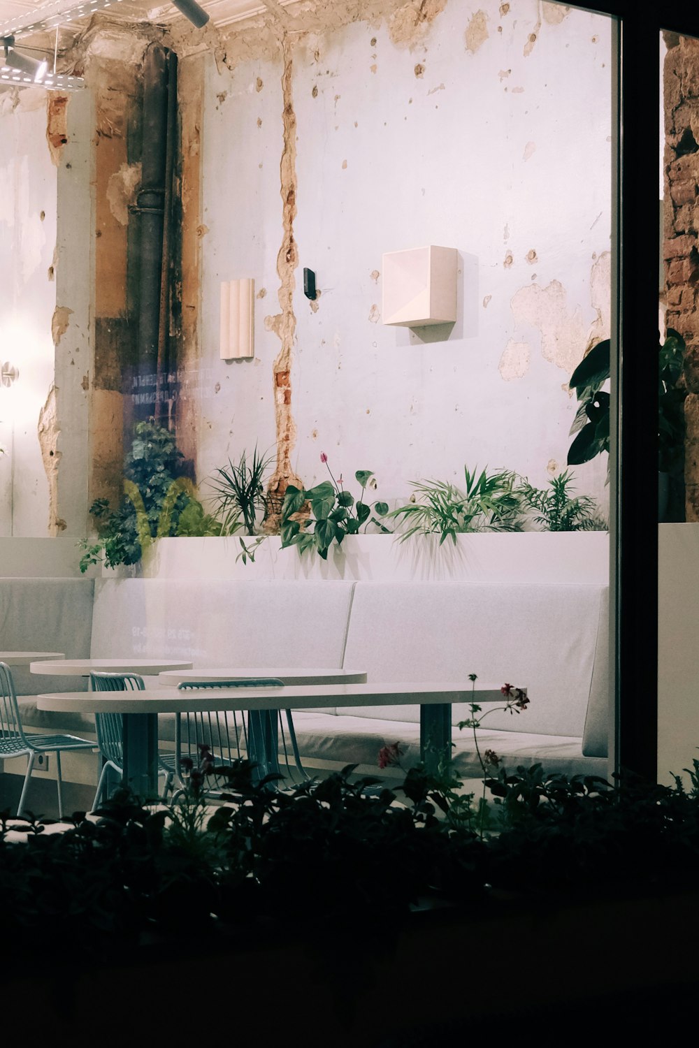 green potted plant on white table