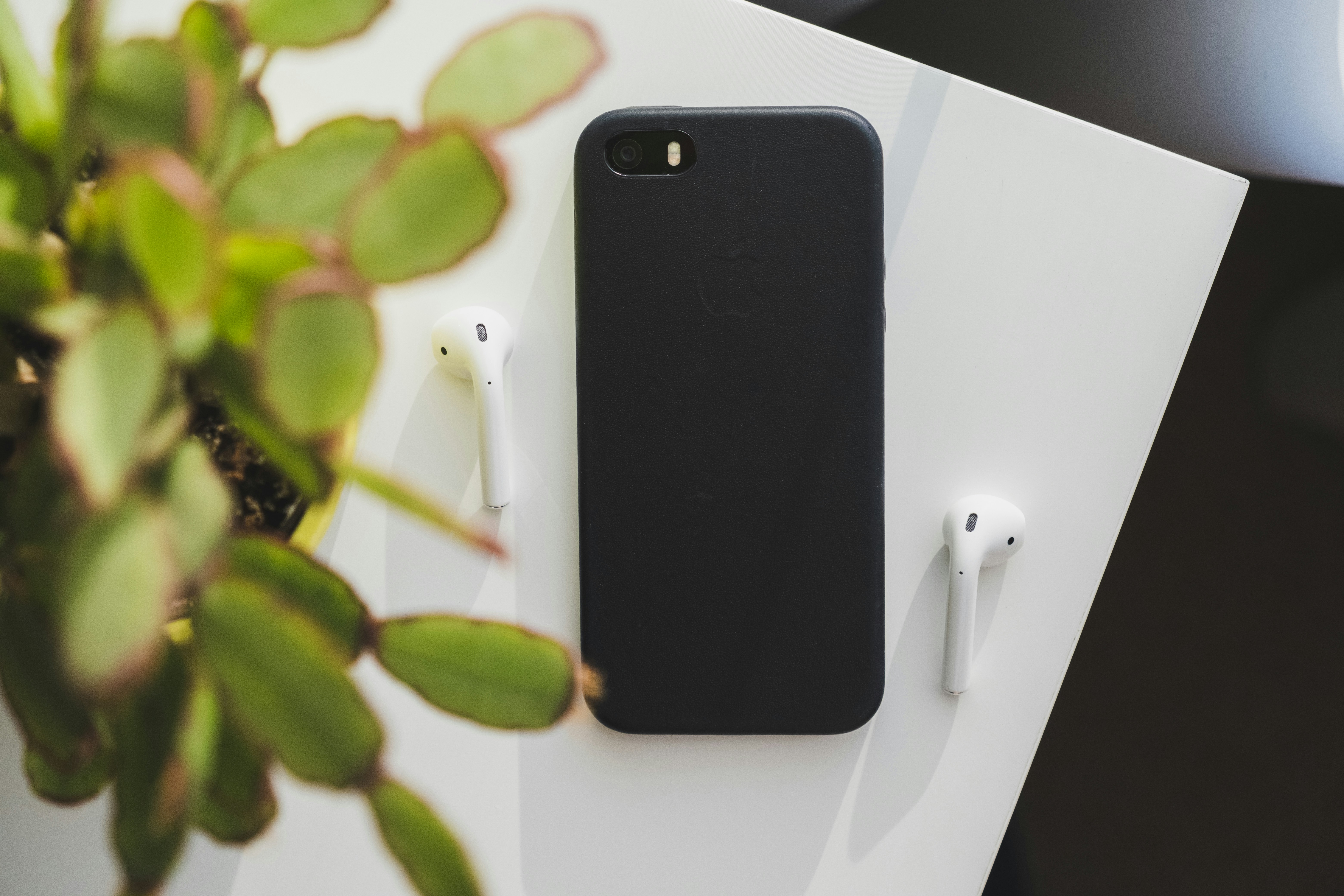 Photo by alexandru_stavrica