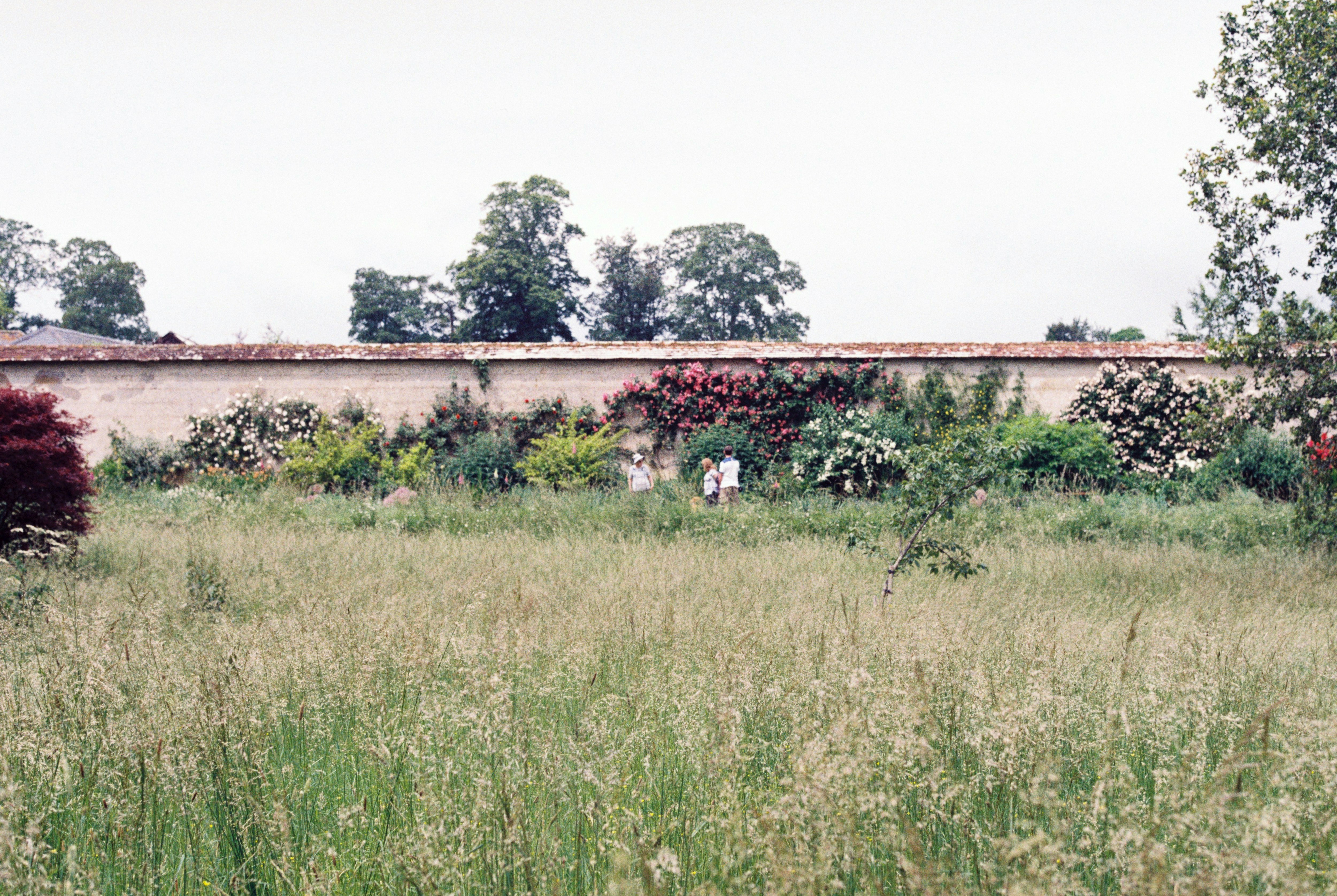 Photo by anniespratt