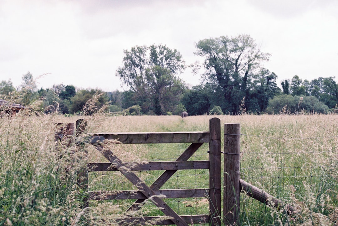 brown wooden fence on green grass field during daytime