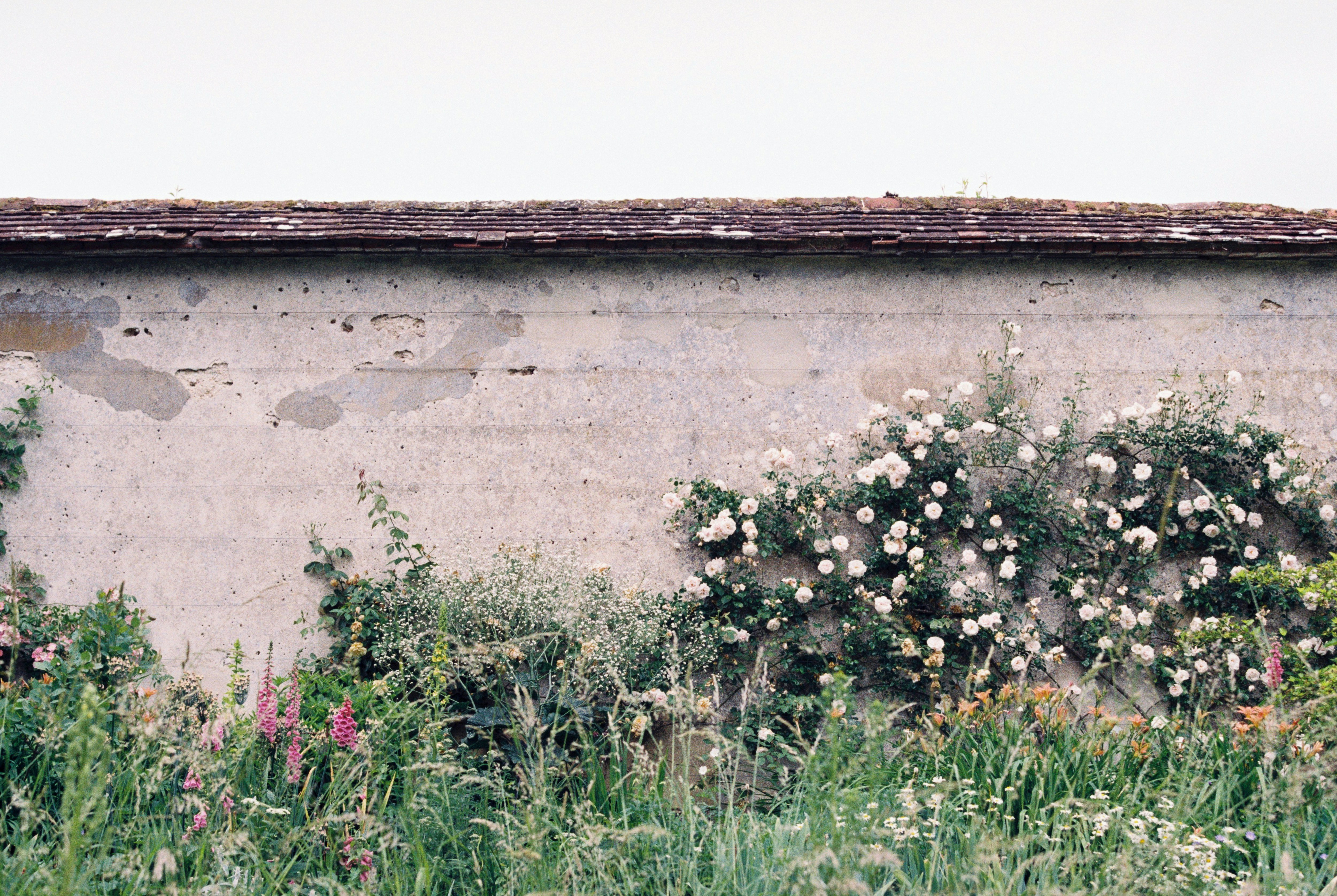 Photo by anniespratt