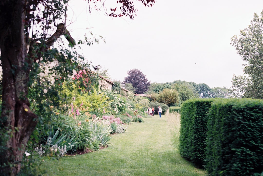 people walking on green grass field during daytime