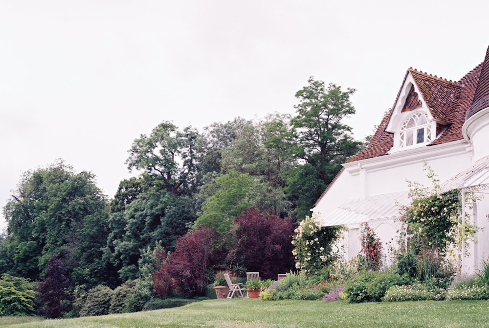 green grass field with trees and houses