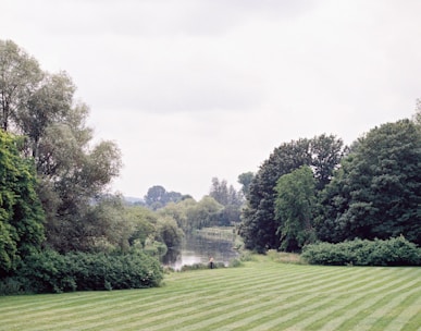 green grass field with trees