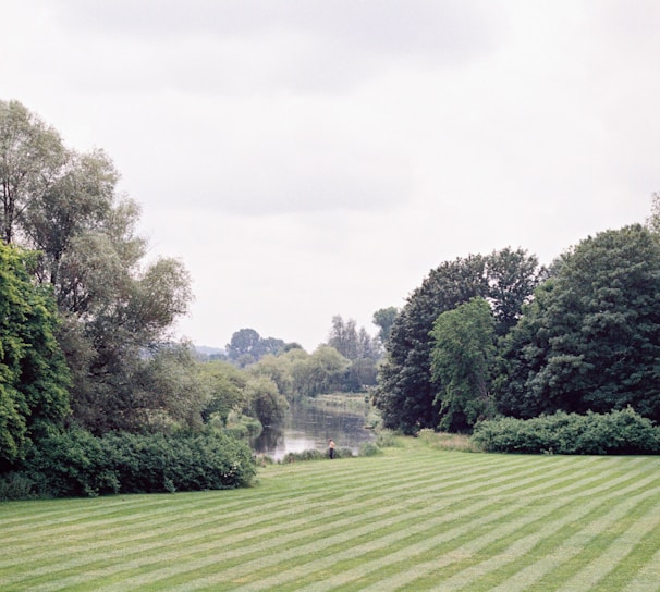 green grass field with trees