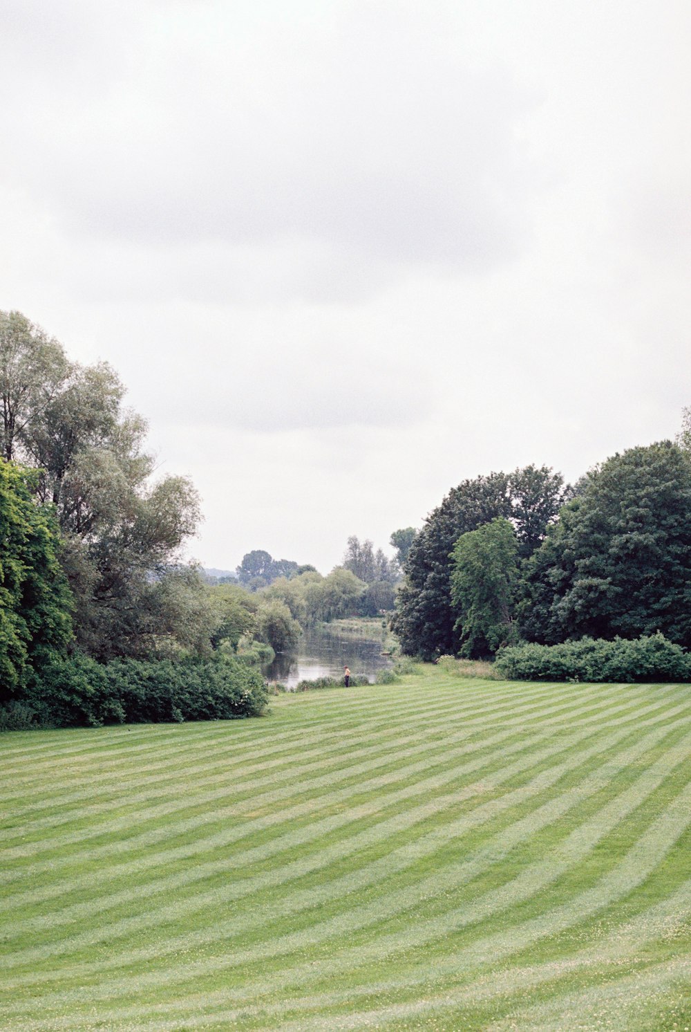 green grass field with trees