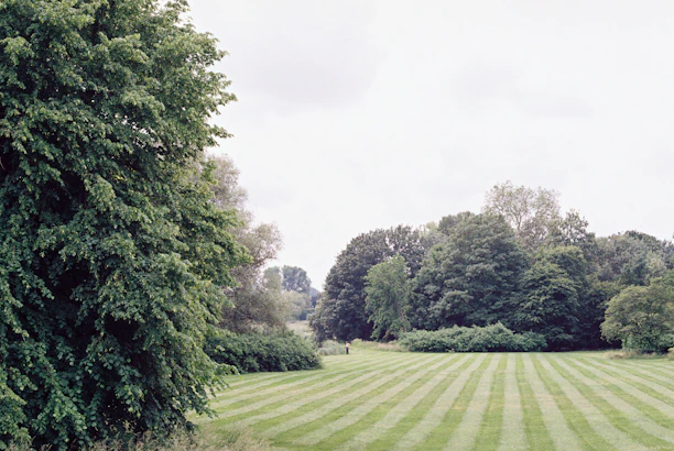 green grass field surrounded by green trees under white sky during daytime