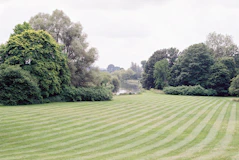 green grass field with trees