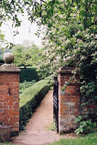 An elegant wrought iron fence framing a charming pathway.