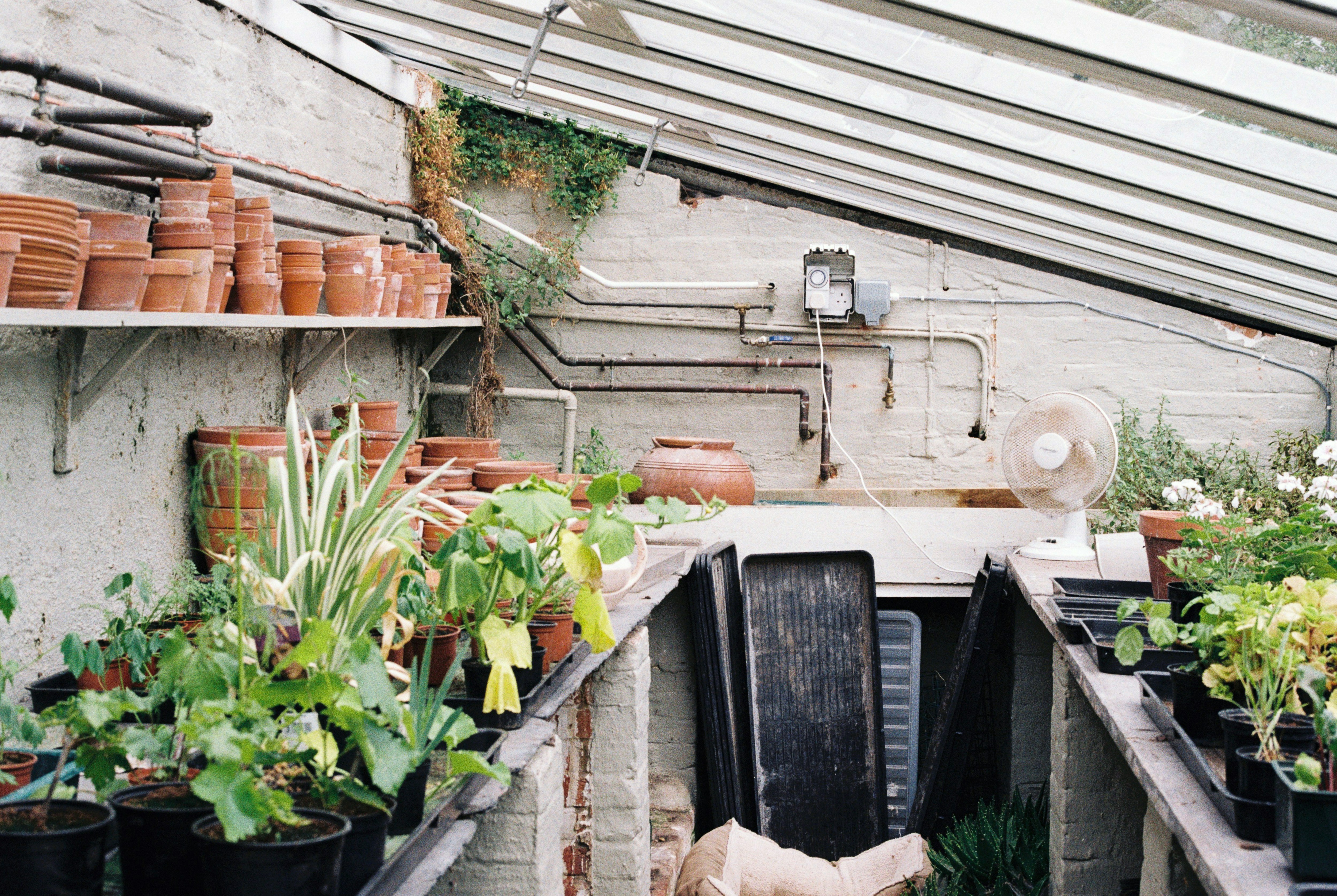 Photo by anniespratt