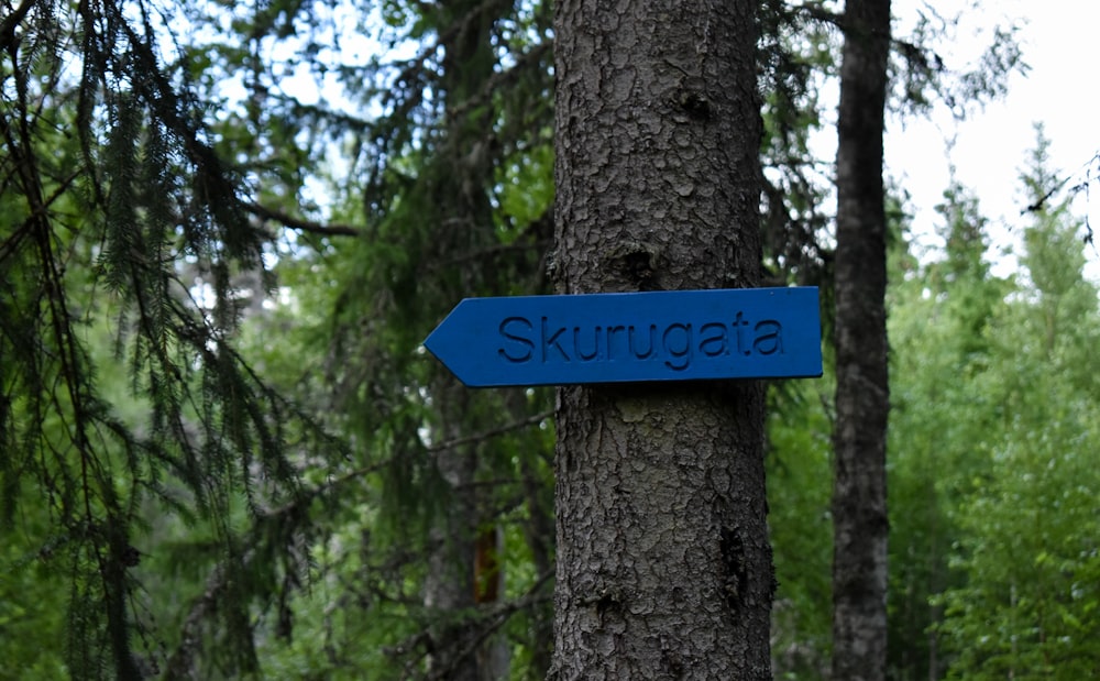 blue and white wooden signage