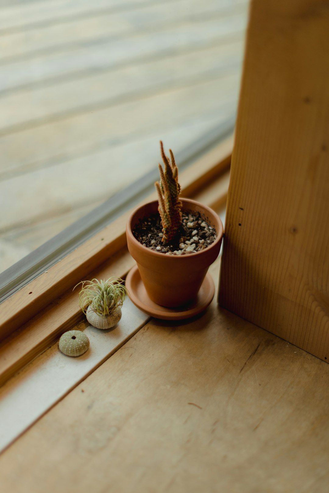 brown plant pot on brown wooden table