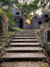 gray concrete stairs between green trees during daytime