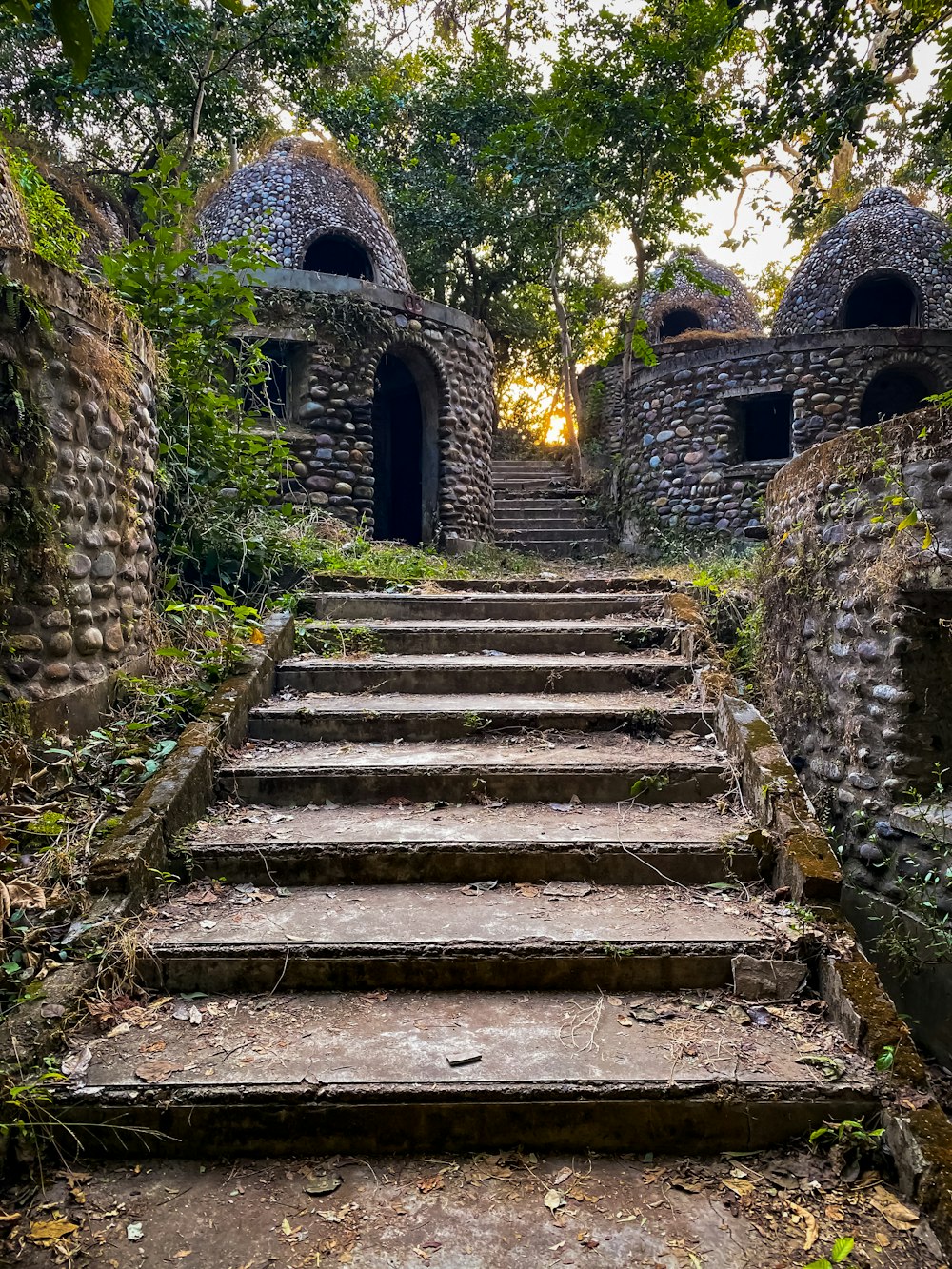 escadas de concreto cinza entre árvores verdes durante o dia