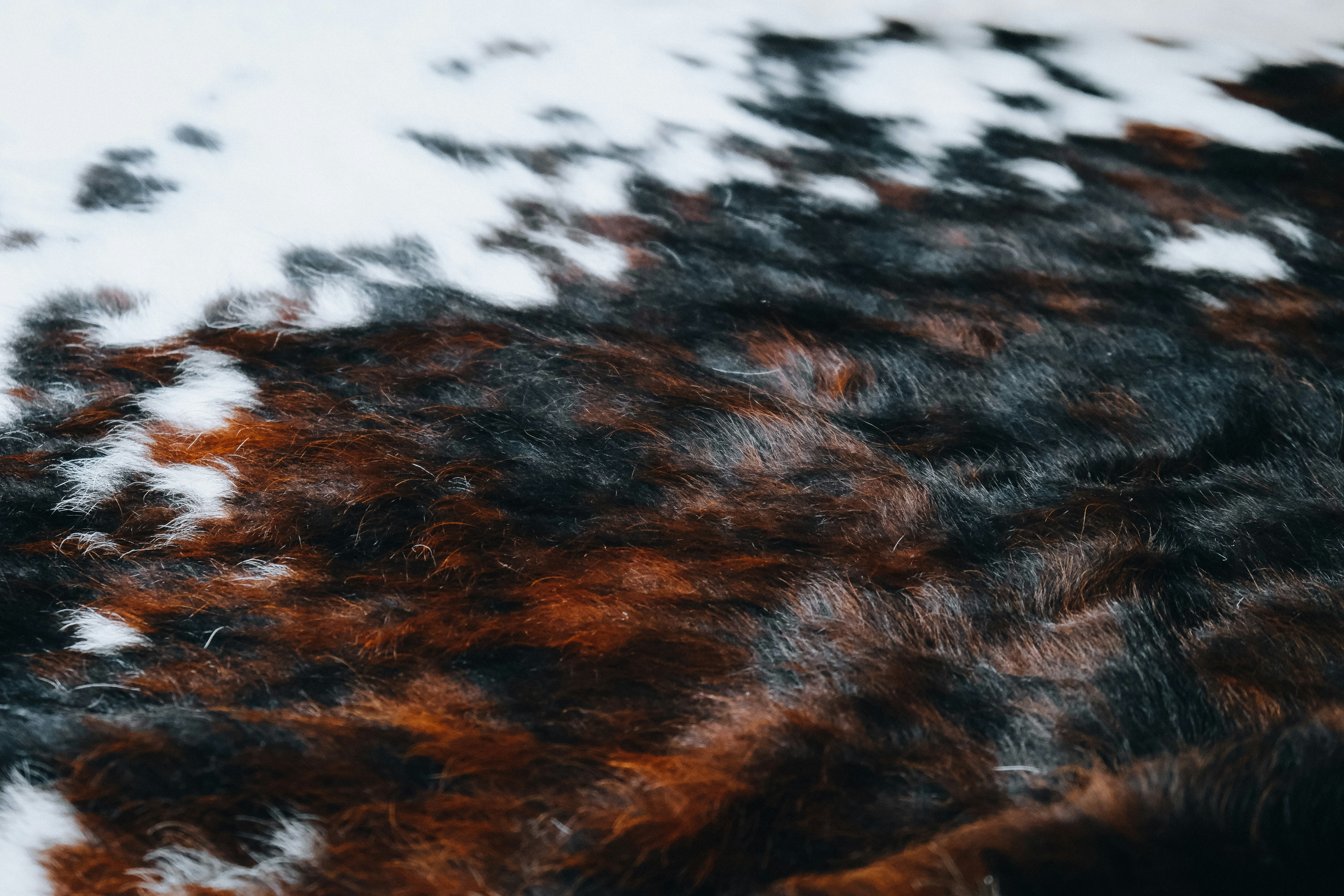 brown and black abstract painting