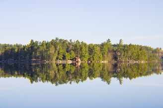 A serene lakeside cabin surrounded by tall trees at sunrise, inviting calm and reflection.