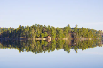 A serene lakeside cabin surrounded by tall trees at sunrise, inviting calm and reflection.