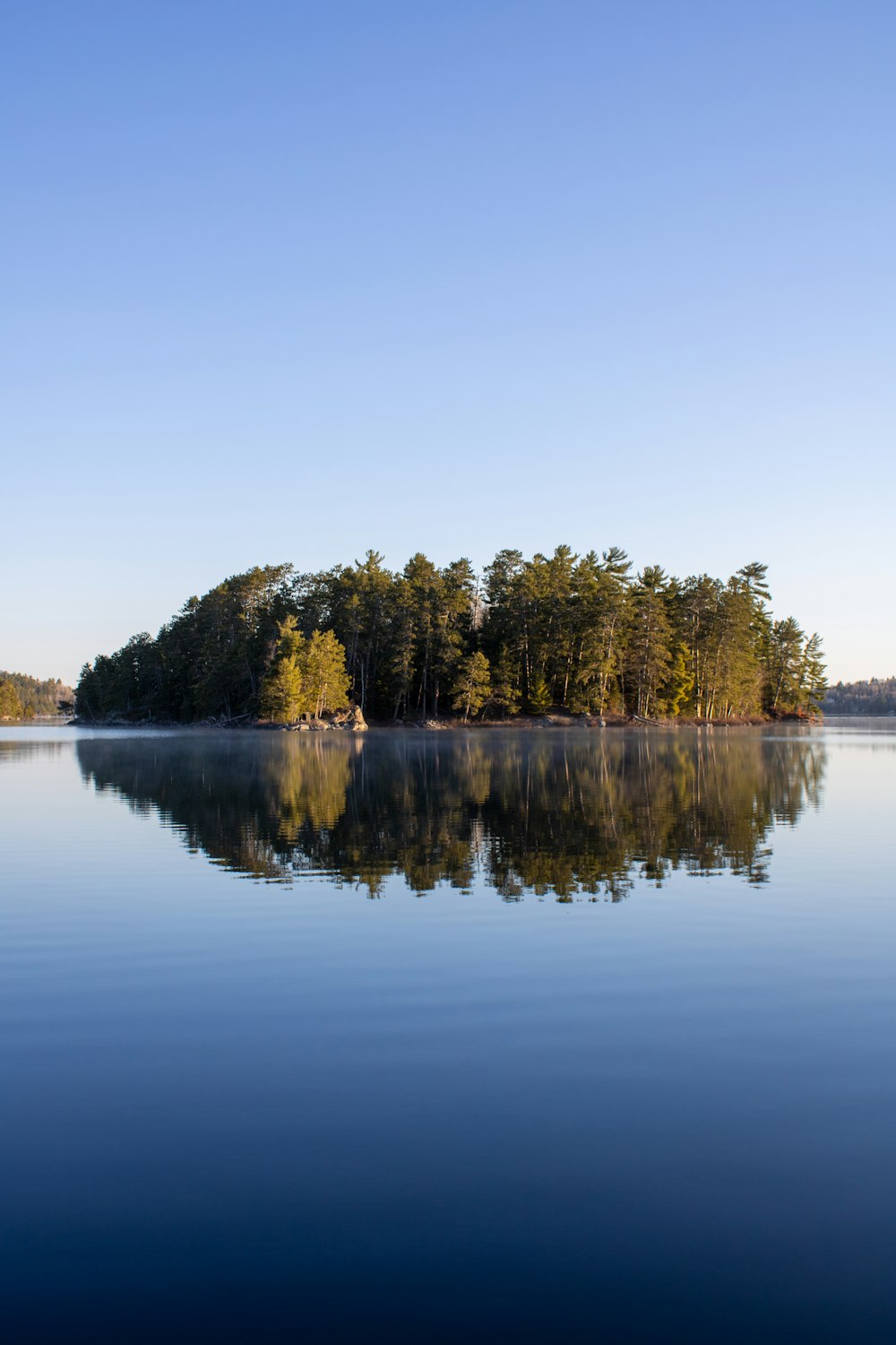 green trees beside lake under blue sky during daytime