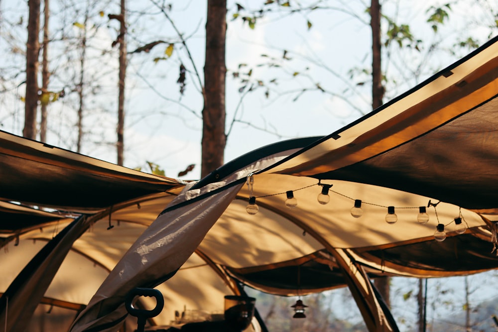 brown tent near trees during daytime