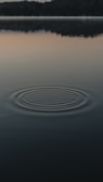 water drops on body of water