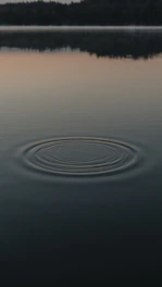 water drops on body of water