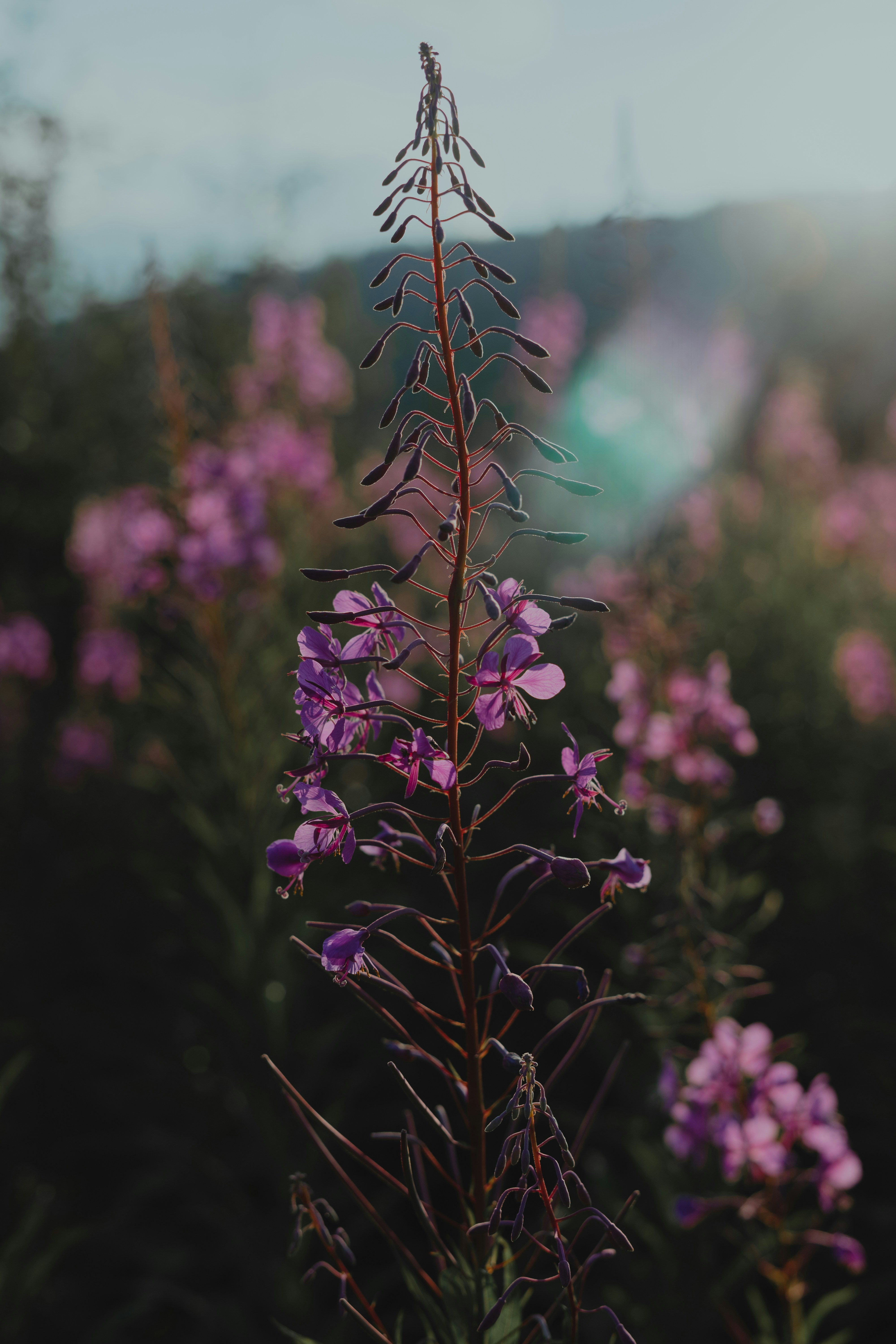 Photo by bullettrainnnnn