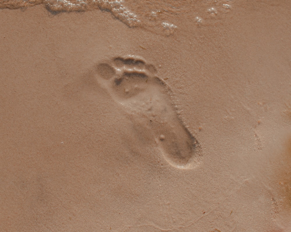 brown sand with water during daytime