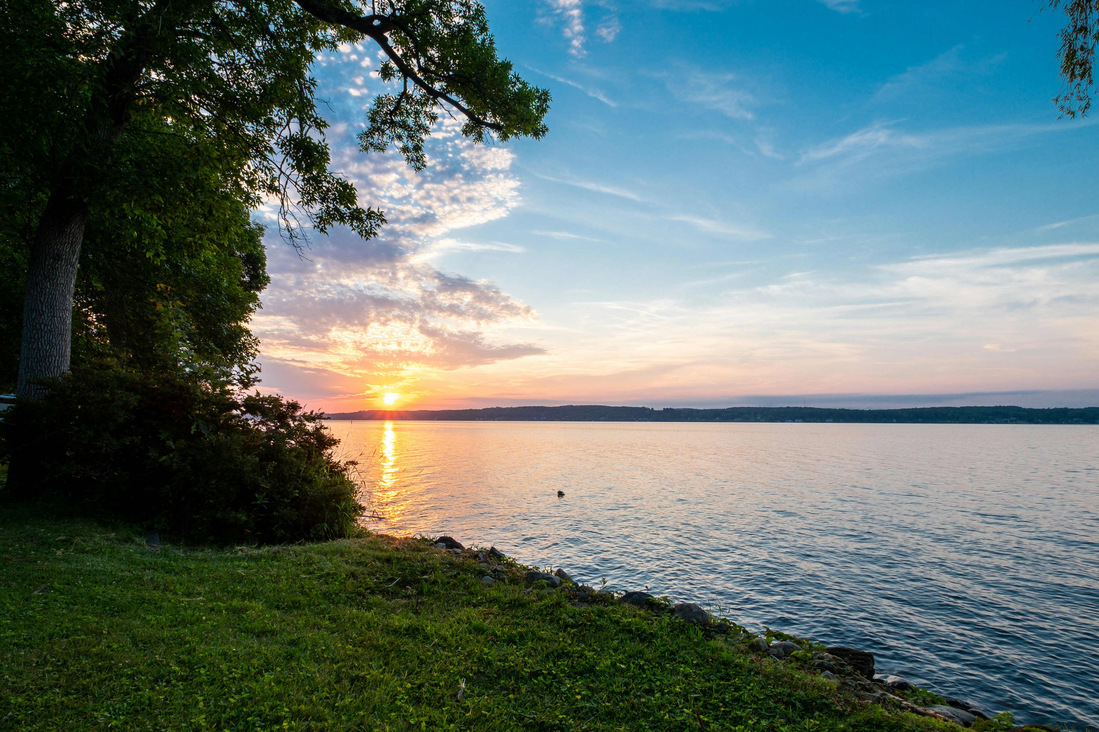 green grass field near body of water during daytime