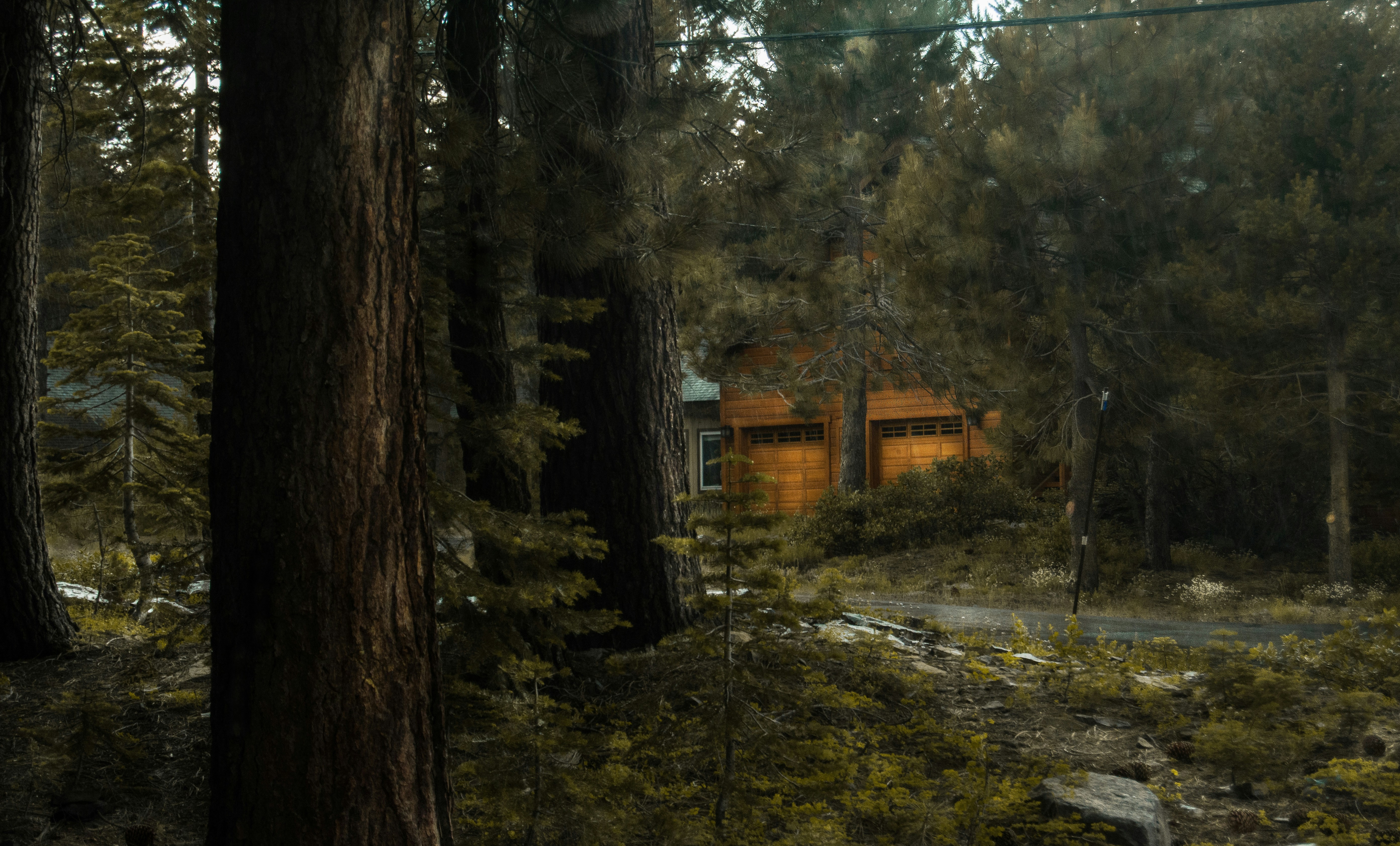 Rainy forest path at Orchid Homestay