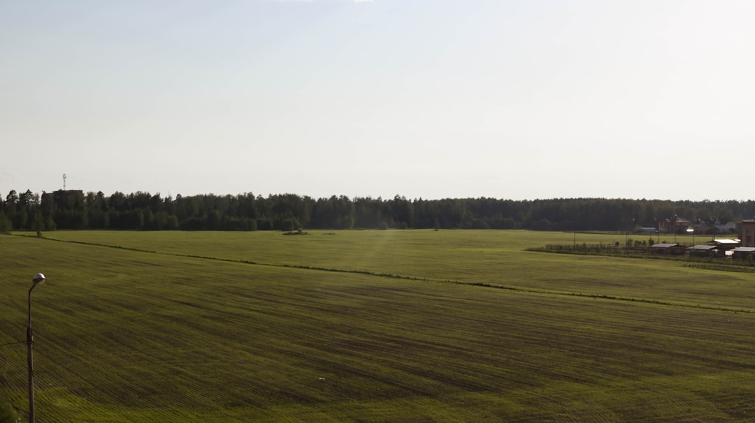 green grass field under white sky during daytime