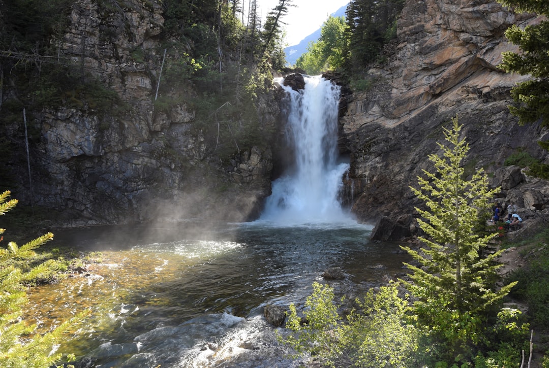  waterfalls in the middle of the forest bald eagle