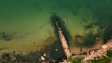 An aerial view of a coastal area featuring a stone breakwater extending into clear green waters. Various rocks are scattered around the shore, and a small boat is anchored near the breakwater. The surrounding area has patches of green vegetation.