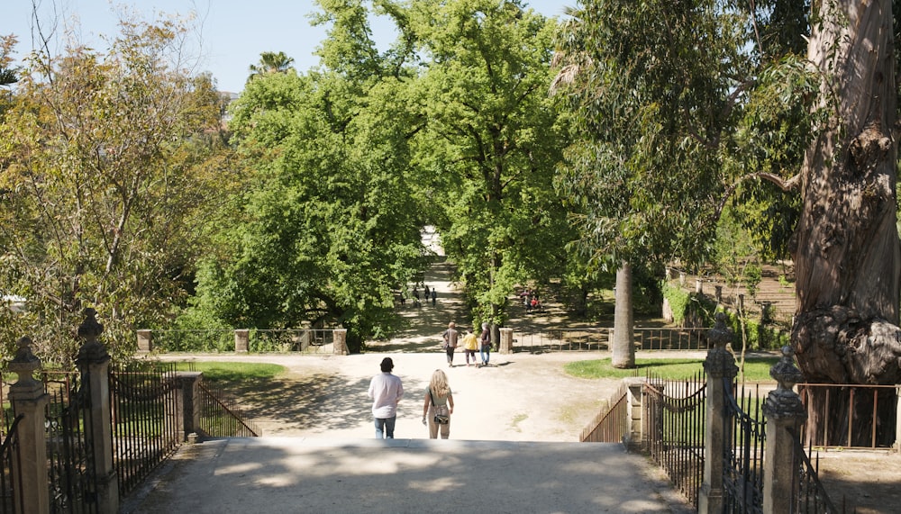 people walking on park during daytime