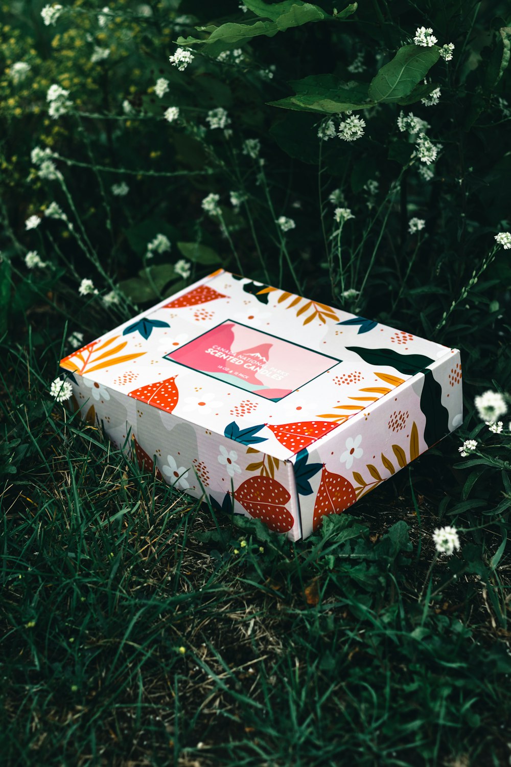 white and red floral box on green grass