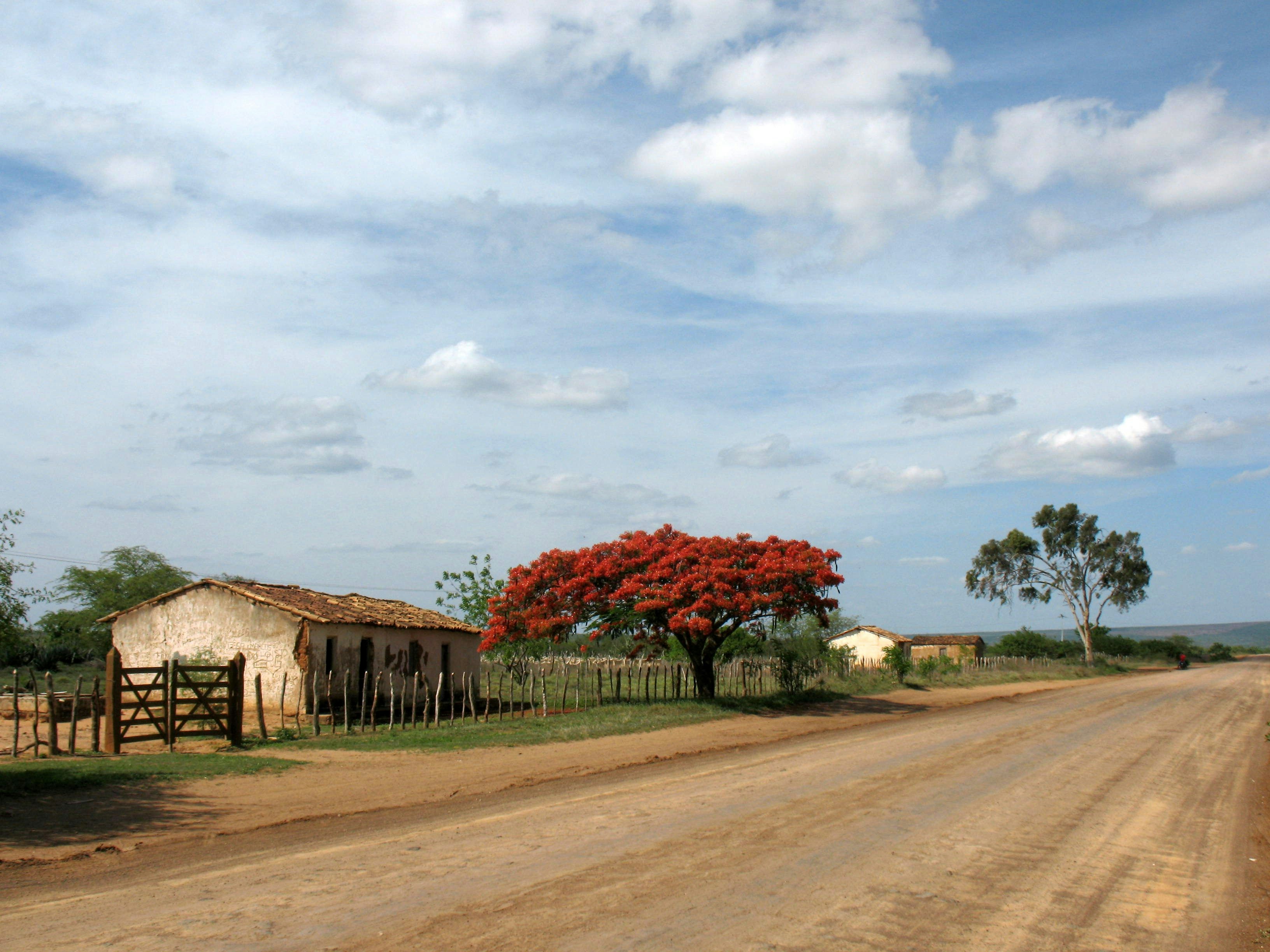 brown wooden house near trees under cloudy sky during daytime
