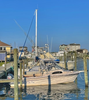 A marina with several docked motorboats, featuring a prominent beige boat named 'Seas the Day'. The sky is clear and blue, and the surrounding buildings are coastal houses painted in muted tones. The water reflects the boats and docks partially visible in the foreground.
