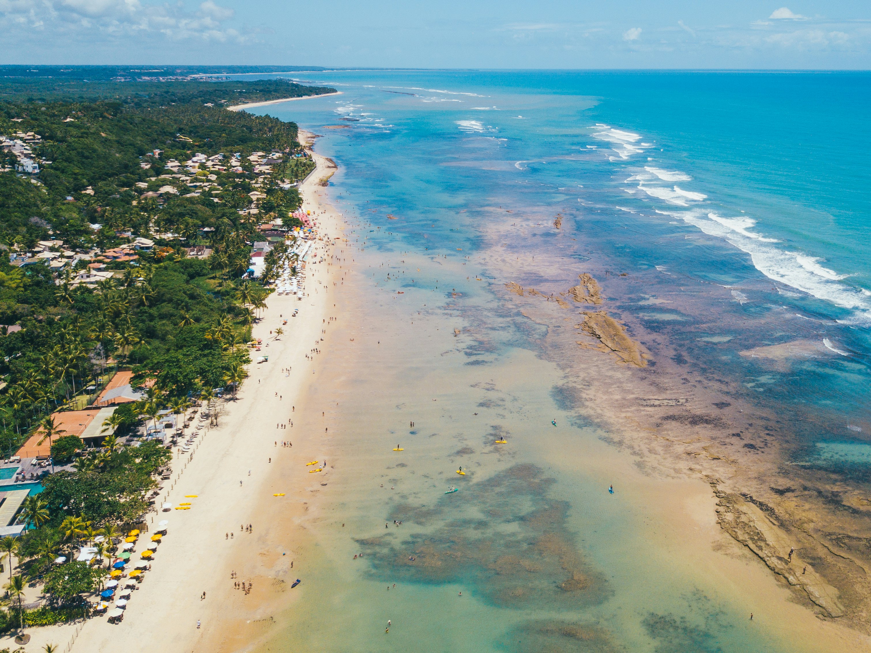 aerial view of beach during daytime