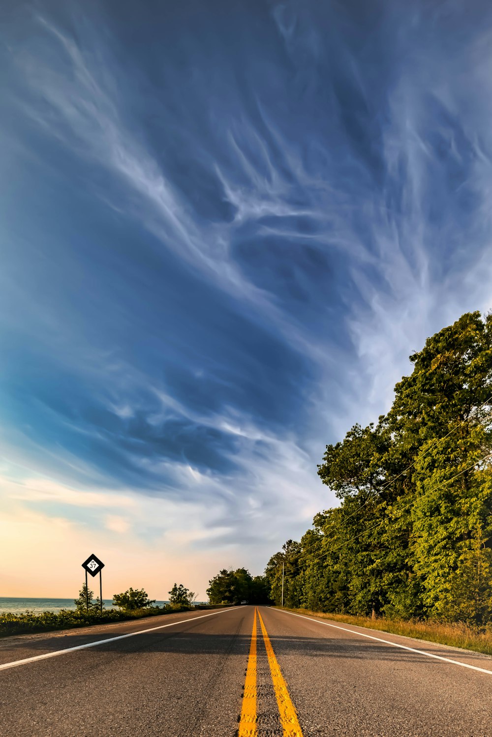 alberi verdi sotto il cielo blu durante il giorno