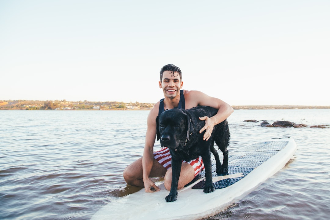 man in black t-shirt sitting on white concrete bench beside black labrador retriever on beach