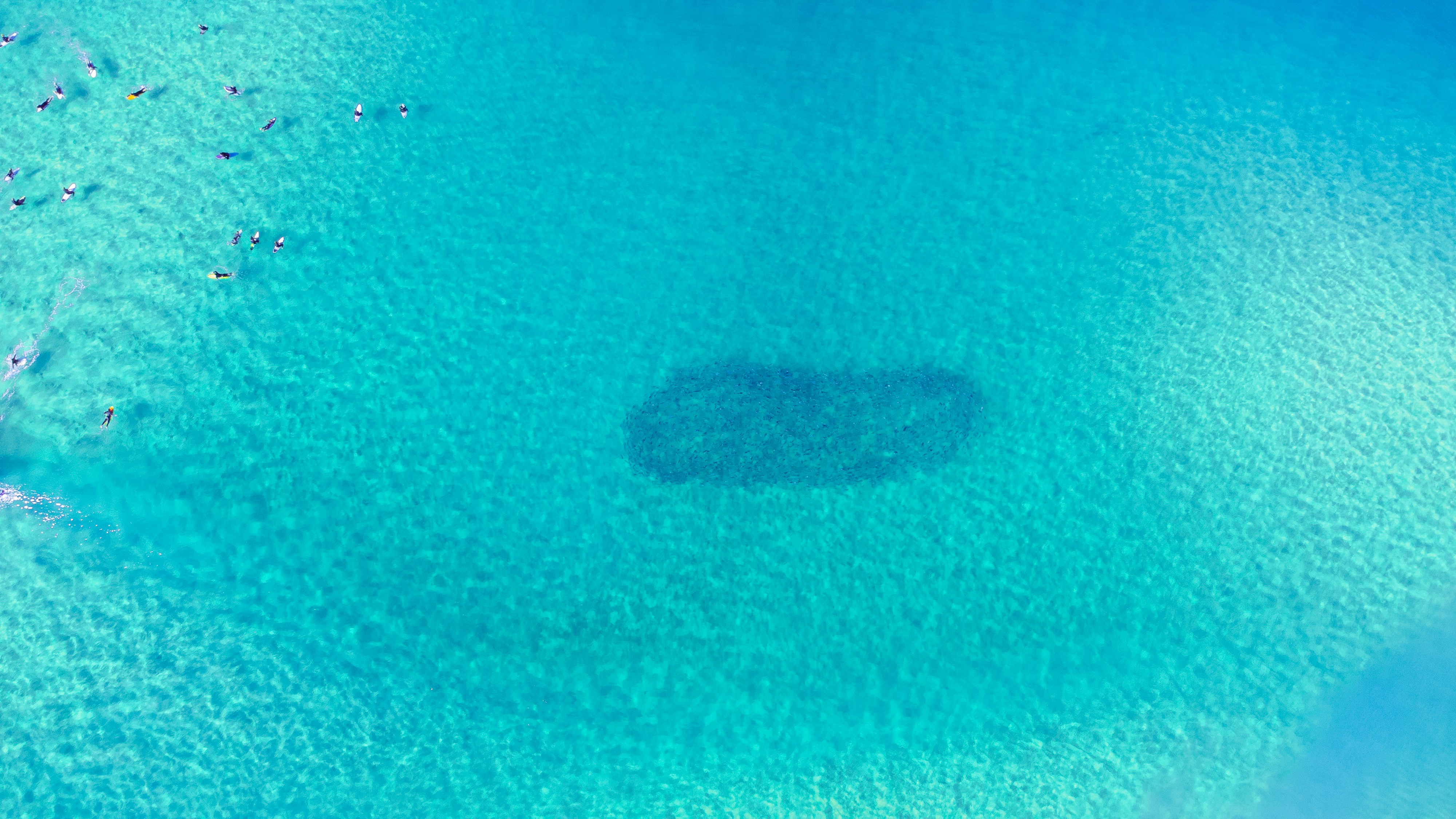 aerial view of body of water during daytime