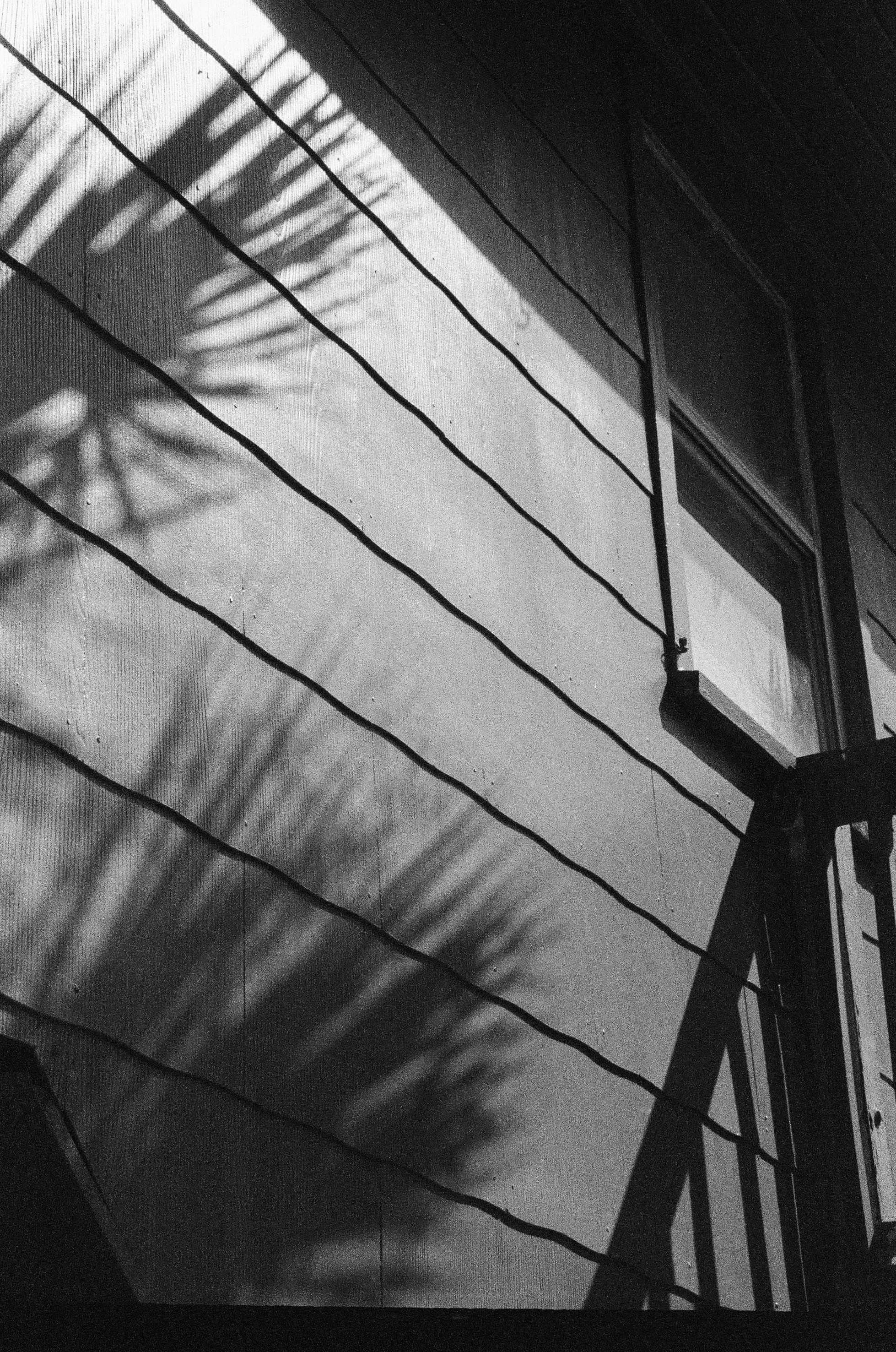 Photo by maddieleopardo