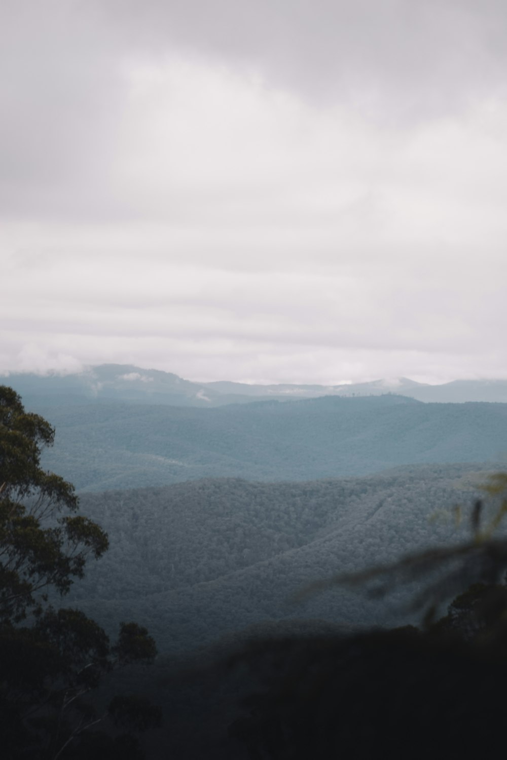 green trees on mountain under white sky during daytime