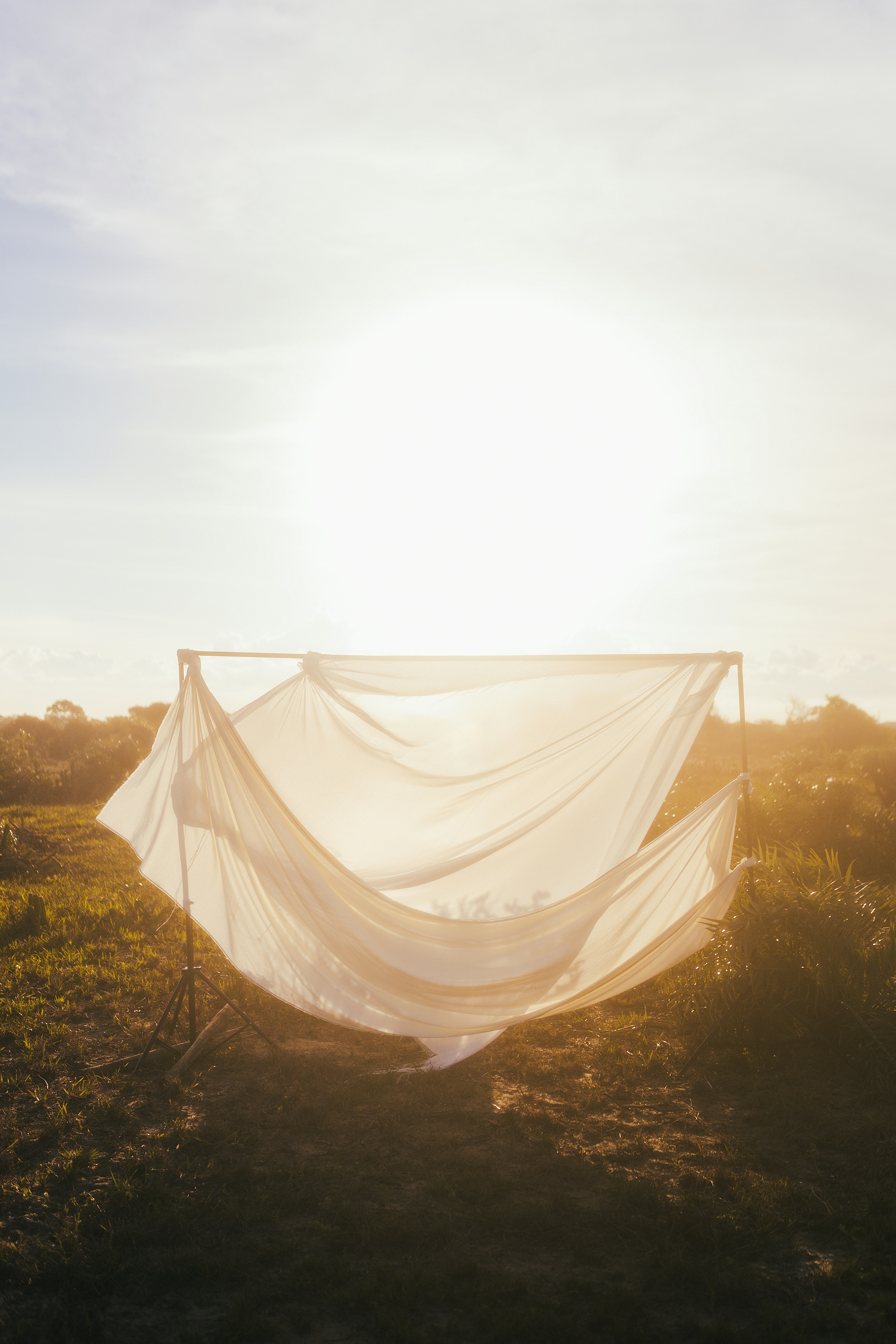 Sheer white netting draped over a simple frame in a grassy field, backlit by a low sun