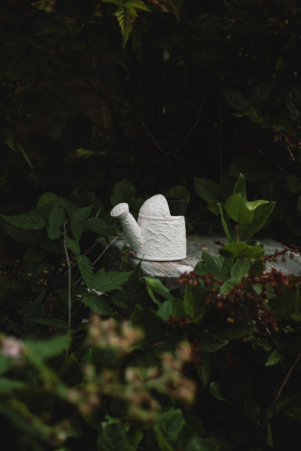 Figurine d’ange blanc sur plante verte