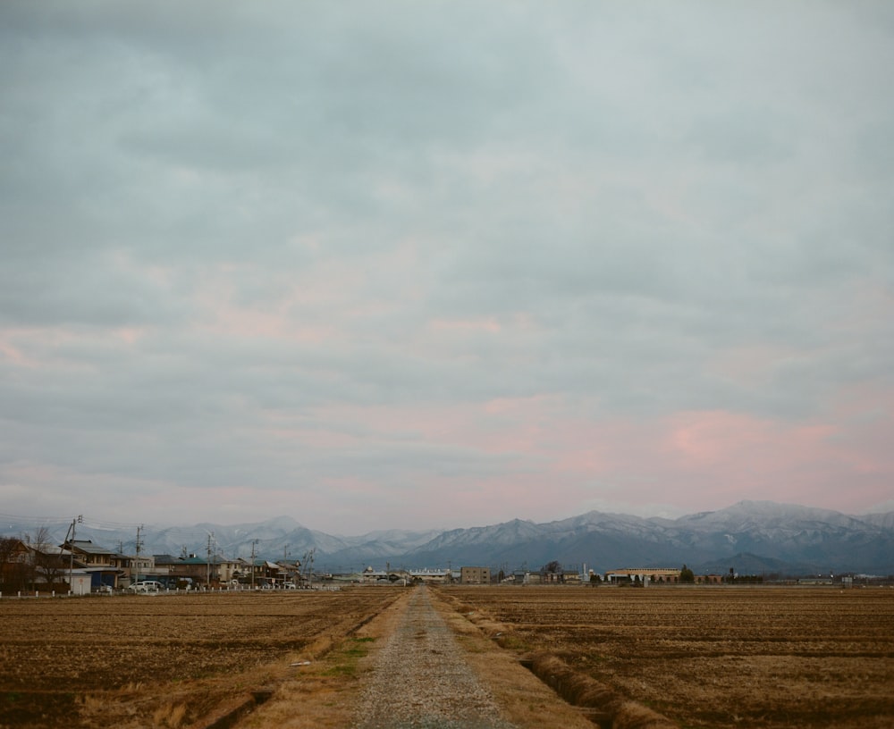 brown field under white sky during daytime